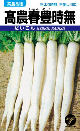 樂天商城 - 春豊時無 2dl 大根 ダイコン だいこん【タカヤマシード 種 たね タネ 】【通常5倍 5のつく日はポイント10倍】