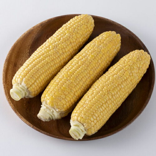 樂天商城 - んめぇとみぎ86 2000粒 とうもろこし トウモロコシ 玉蜀黍【渡辺採種場 種 たね タネ 】【通常5倍 5のつく日はポイント10倍】