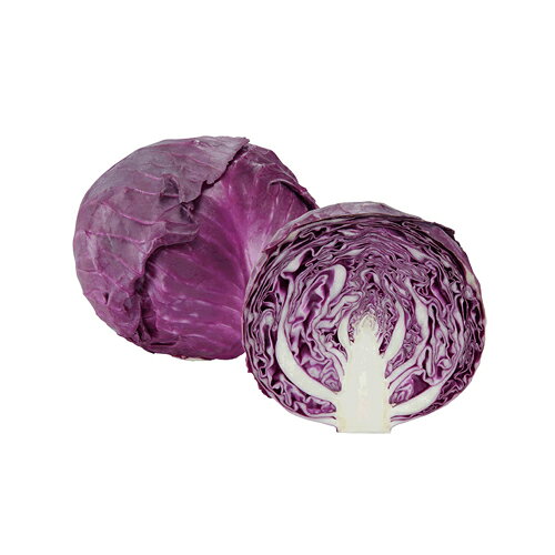 樂天商城 - 紫丸 10ml キャベツ【大和農園 種 たね タネ】【通常5倍 5のつく日はポイント10倍】