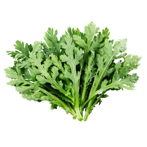 おやさと中葉新菊 1L 春菊 しゅんぎく シュンギク【大和農園 種 たね タネ】【通常5倍 5のつく日はポイント10倍】