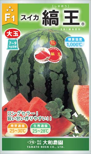 縞王 200粒 スイカ すいか 西瓜【大和農園 種 たね タネ】【通常5倍 5のつく日はポイント10倍】