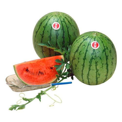 樂天商城 - 赤こだま 200粒 スイカ すいか 西瓜【大和農園 種 たね タネ】【通常5倍 5のつく日はポイント10倍】