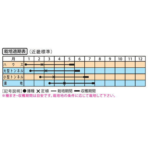 ��ƤΤ����Ĥ� 200γ ������ ������ �������������� �� ���� ���ۡ͡��̾�5�� 5�ΤĤ����ϥݥ����10�ܡ�