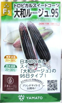Rakuten - 大和ルージュ95 1dl とうもろこし トウモロコシ 玉蜀黍 【大和農園 種 たね タネ】【通常5倍 5のつく日はポイント10倍】