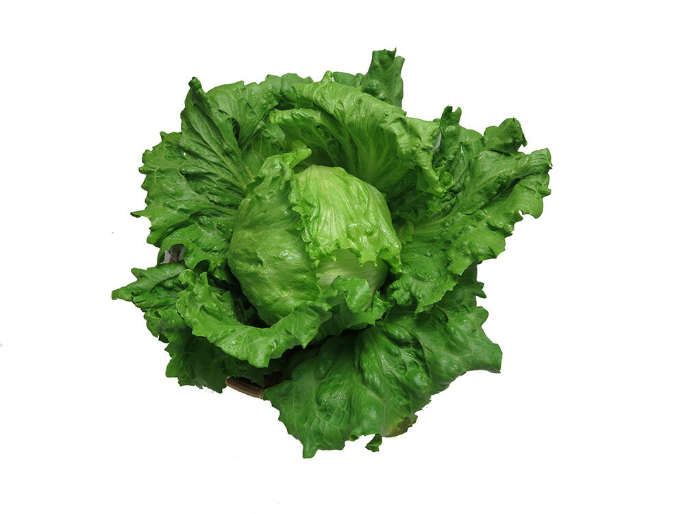 �����UC-059�� L������5��γ �쥿�� ���������� ���Ϳ��� �ڲ��Ϳ��� �� ���� ���� �ۡ��̾�5�� 5�ΤĤ����ϥݥ����10�ܡ�