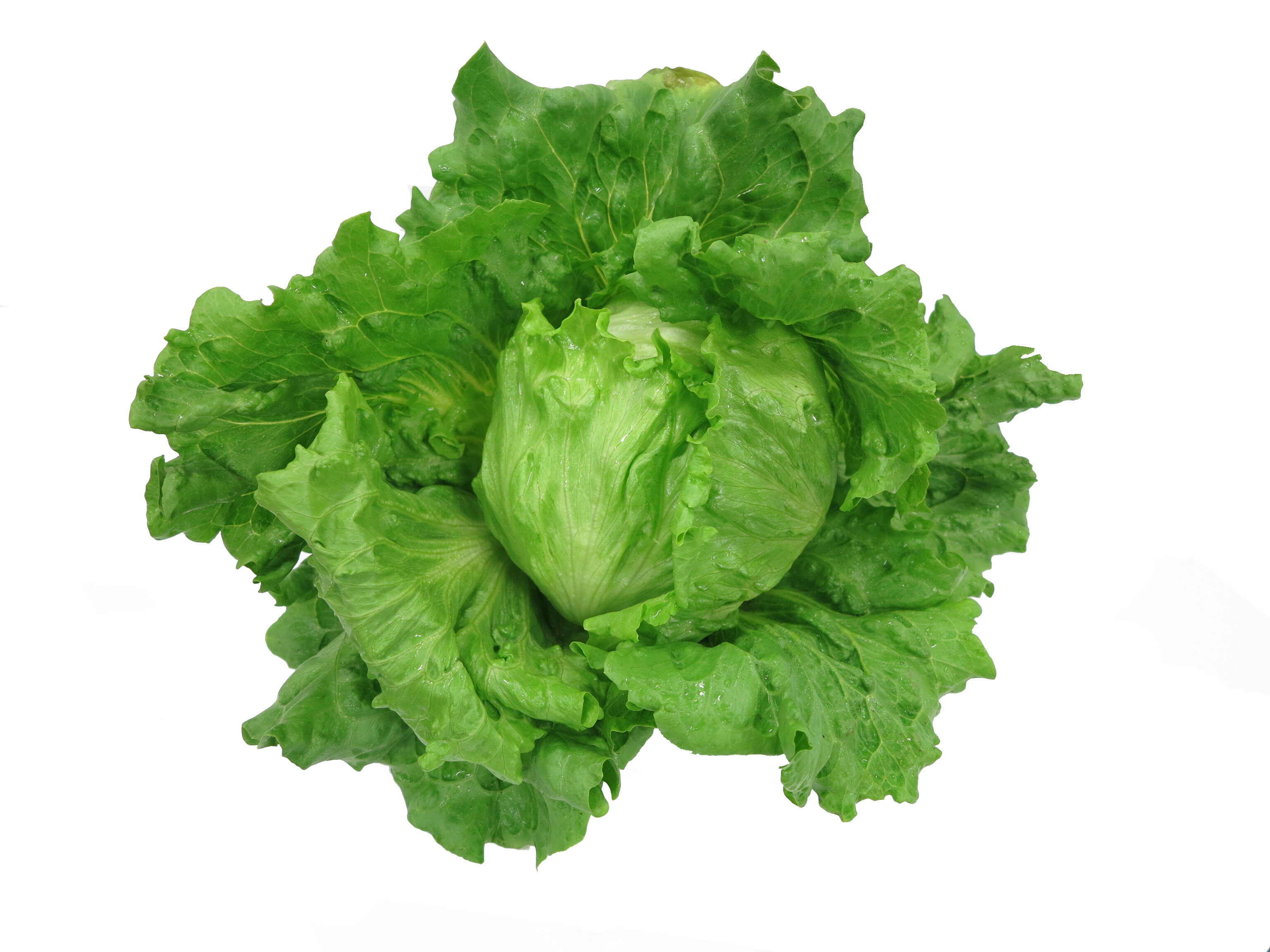 �ۤޤ��UC-029�� L������5��γ �쥿�� ���������� ���Ϳ��� �ڲ��Ϳ��� �� ���� ���� �ۡ��̾�5�� 5�ΤĤ����ϥݥ����10�ܡ�