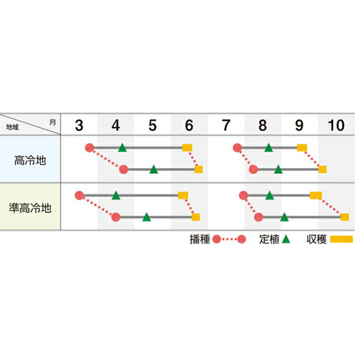 UC-058 L������5000γ �쥿�� ���������� ���Ϳ��� �ڲ��Ϳ��� �� ���� ���� �ۡ��̾�5�� 5�ΤĤ����ϥݥ����10�ܡ�