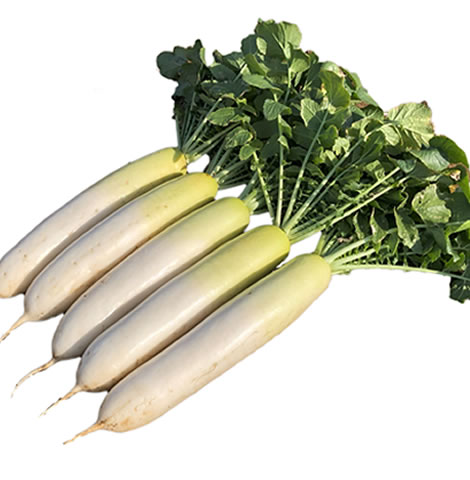 ・小葉で耐寒性が強く、細菌病に比較的強い。 ・暖冬年も、厳冬年も根長の変動が少ない。 ・青首が淡く、内部に青色が入りにくい。 メーカー在庫となります為、流動的となります メーカー確認後、すぐにご用意できない等の場合もございます。その際は予約対応となり別途御連絡させていただきます。 申し訳ございませんが、ご了承の程よろしくお願いいたします。 【納期】 見込みで7から12営業日・取り寄せ・予約商品に関しましては、後ほど弊社より連絡させていただきます。 上記期間はあくまで見込みでの計算となります事、ご了承下さいませ。こちらは野菜のタネです