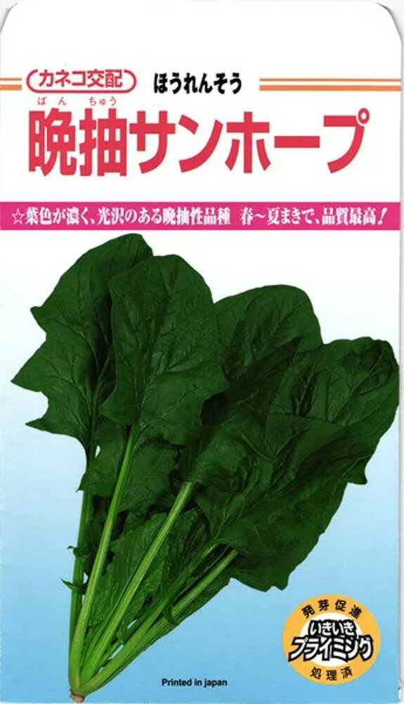 葉色が濃く、光沢のある晩抽性品種。春?夏まきで、品質最高!●ベト病(R?1?5）に抵抗性があります。