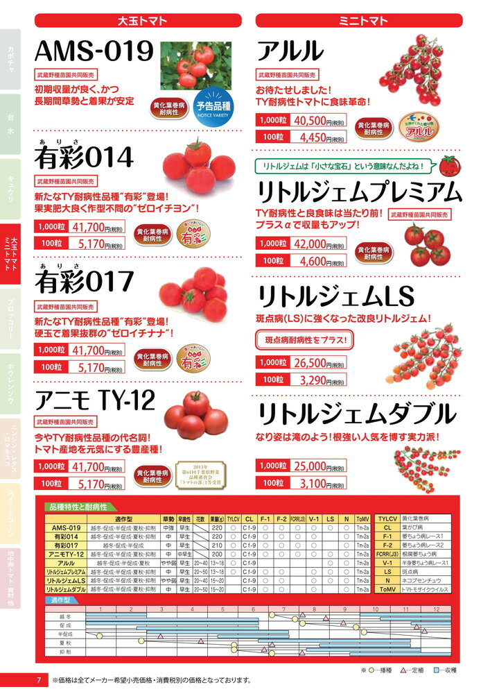 有彩017 1000粒 トマト とまと 蕃茄【朝日アグリア 種 たね タネ 】【通常5倍 5のつく日はポイント10倍対象外商品ポイント3倍固定商品】