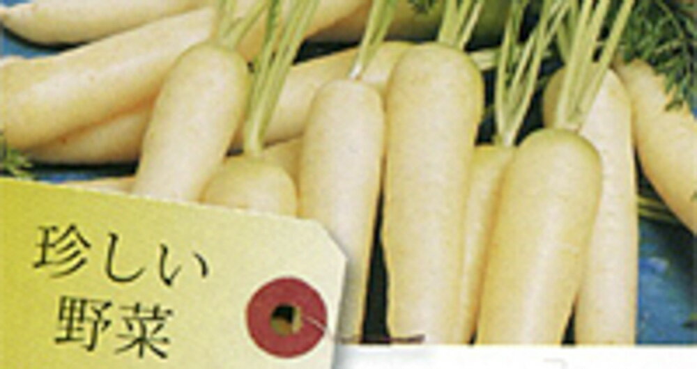 まるでダイコン!?でもニンジンです。