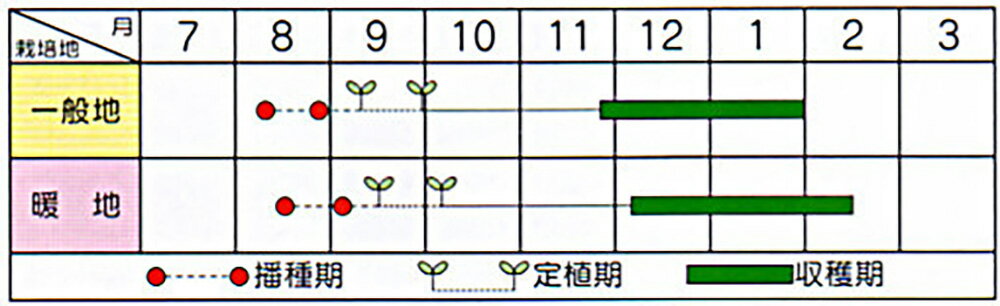 ��Ĥ� 2000γ �֥��å��꡼ �ڥ֥��꡼�� �� ���� ���� �ۡ��̾�5�� 5�ΤĤ����ϥݥ����10���оݳ����ʥݥ����3�ܸ��꾦�ʡ�