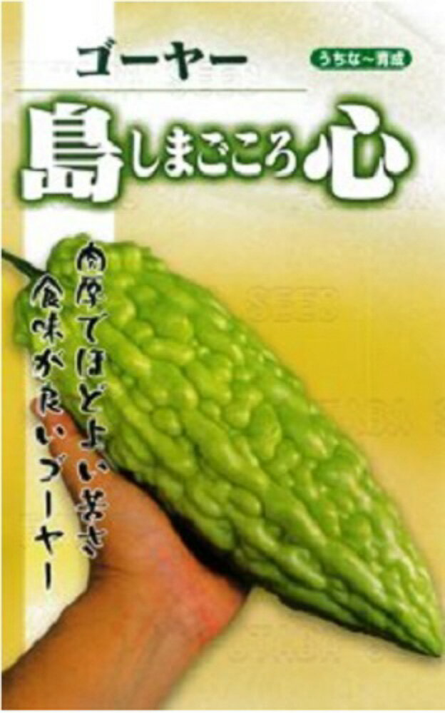 島心 1L ニガウリ にがうり 苦瓜【フタバ 種 たね タネ】【通常5倍 5のつく日はポイント10倍対象外商品ポイント3倍固定商品】