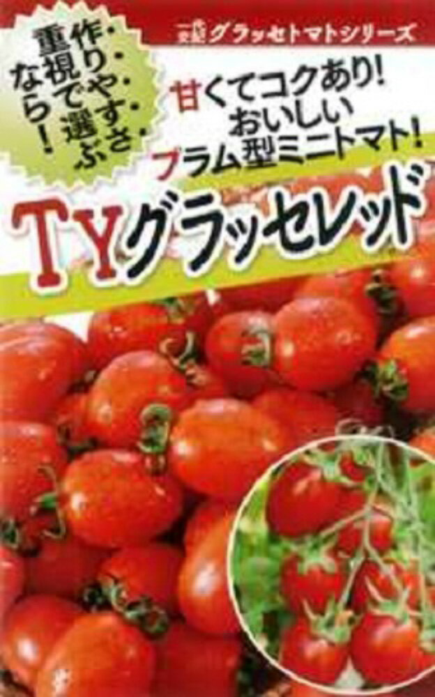 Other - TYグラッセプラス レッド 100粒 トマト とまと 蕃茄【フタバ 種 たね タネ】【通常5倍 5のつく日はポイント10倍対象外商品ポイント3倍固定商品】