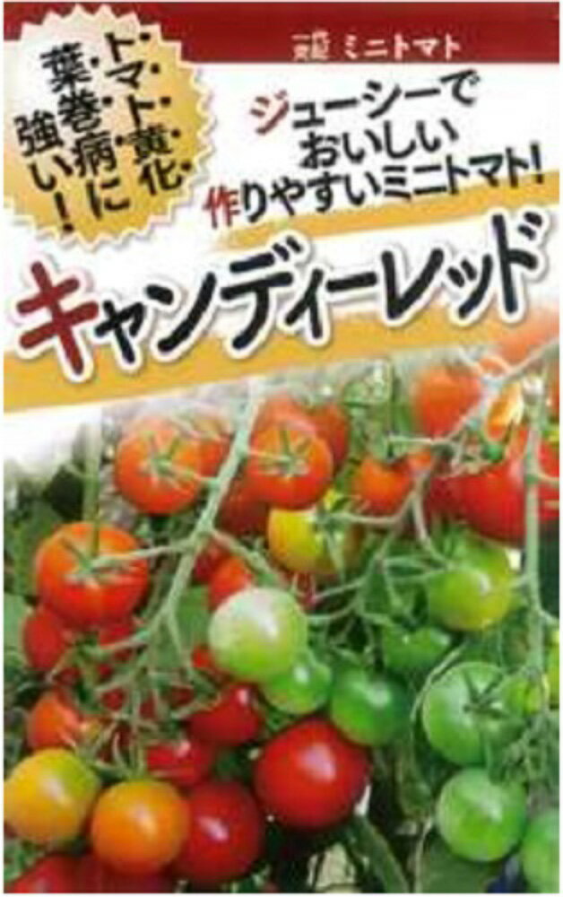 キャンディーレッド 1000粒 トマト とまと 蕃茄【フタバ 種 たね タネ】【通常5倍 5のつく日はポイント10倍対象外商品ポイント3倍固定商品】