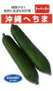 沖縄 短形へちま 1DL ヘチマ へちま 糸瓜【フタバ 種 たね タネ】【通常5倍 5のつく日はポイント10倍対象外商品ポイント3倍固定商品】