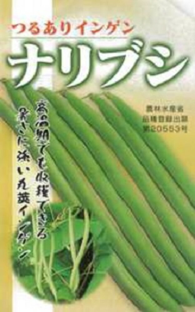 【次回2024年1月以降】ナリブシ 1l 豆 マメ まめ 鞘隠元 サヤインゲン さやいんげん【フタバ 種 たね タネ】【通常5倍 5のつく日はポイント10倍対象外商品ポイント3倍固定商品】