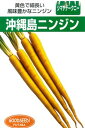 沖縄 島人参 1DL ニンジン にんじん 人参【フタバ 種 たね タネ】【通常5倍 5のつく日はポイント10倍対象外商品ポイント3倍固定商品】