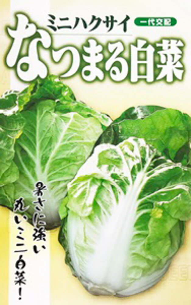 なつまる白菜 20ml 白菜 ハクサイ はくさい【フタバ 種 たね タネ】【通常5倍 5のつく日はポイント10倍対象外商品ポイント3倍固定商品】