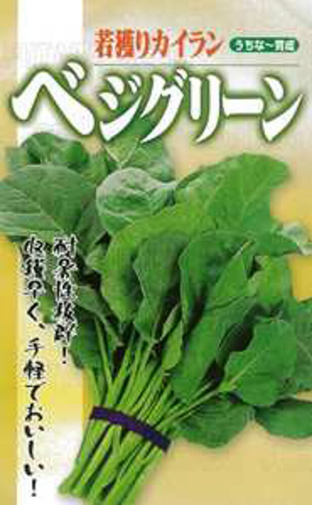 樂天商城 - ベジグリーン 1l べジグリーン べじぐりーん【フタバ 種 たね タネ】【通常5倍 5のつく日はポイント10倍対象外商品ポイント3倍固定商品】