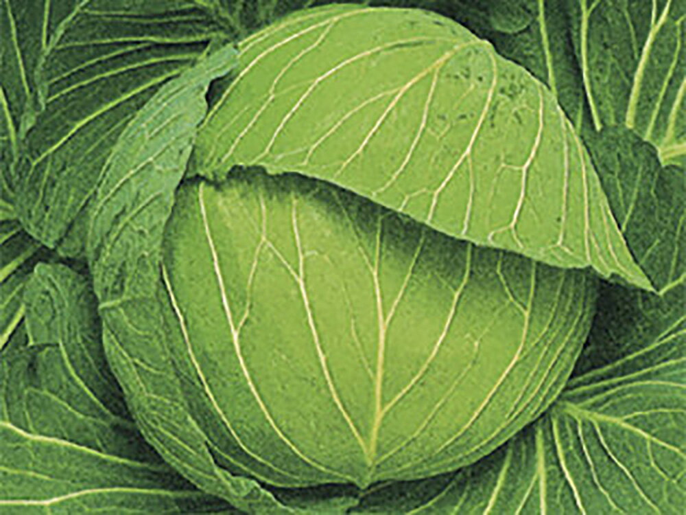 ���� ������5000γ ����٥ġ��а���� �� ���� ���� �ۡ��̾�5�� 5�ΤĤ����ϥݥ����10�ܡ�