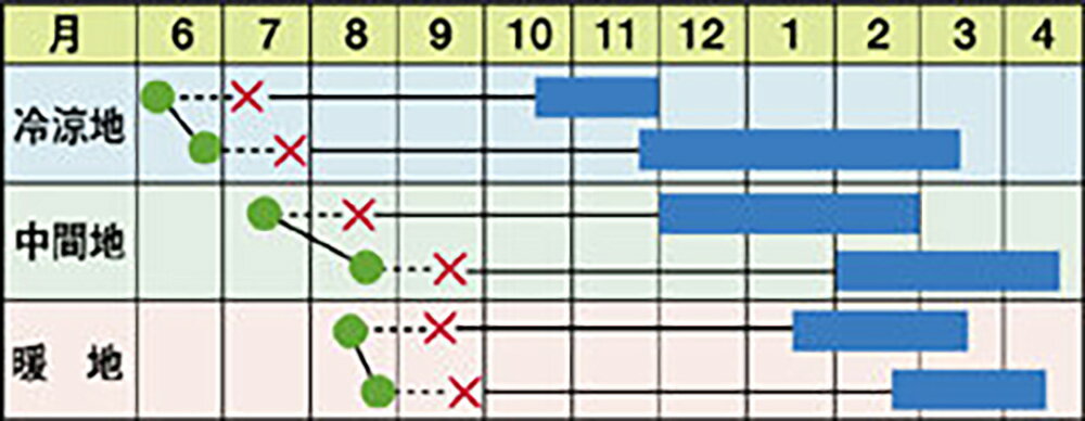 ������ 2000γ ����٥ġ��а���� �� ���� ���� �ۡ��̾�5�� 5�ΤĤ����ϥݥ����10�ܡ�