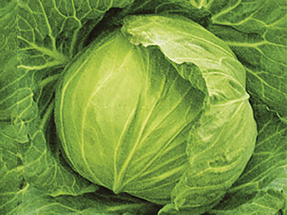 ����������3�� ������5000γ ����٥ġ��а���� �� ���� ���� �ۡ��̾�5�� 5�ΤĤ����ϥݥ����10�ܡ�