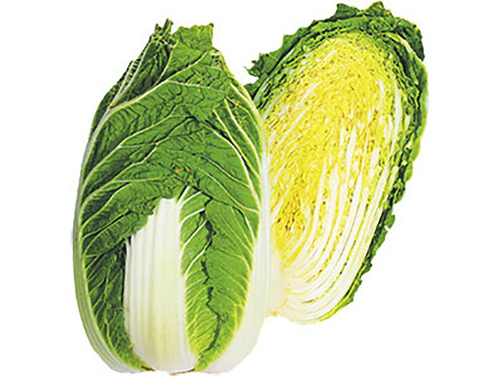 �㲫90 ������5000γ ��� �ϥ����� �Ϥ��������а���� �� ���� ���� �ۡ��̾�5�� 5�ΤĤ����ϥݥ����10�ܡ�