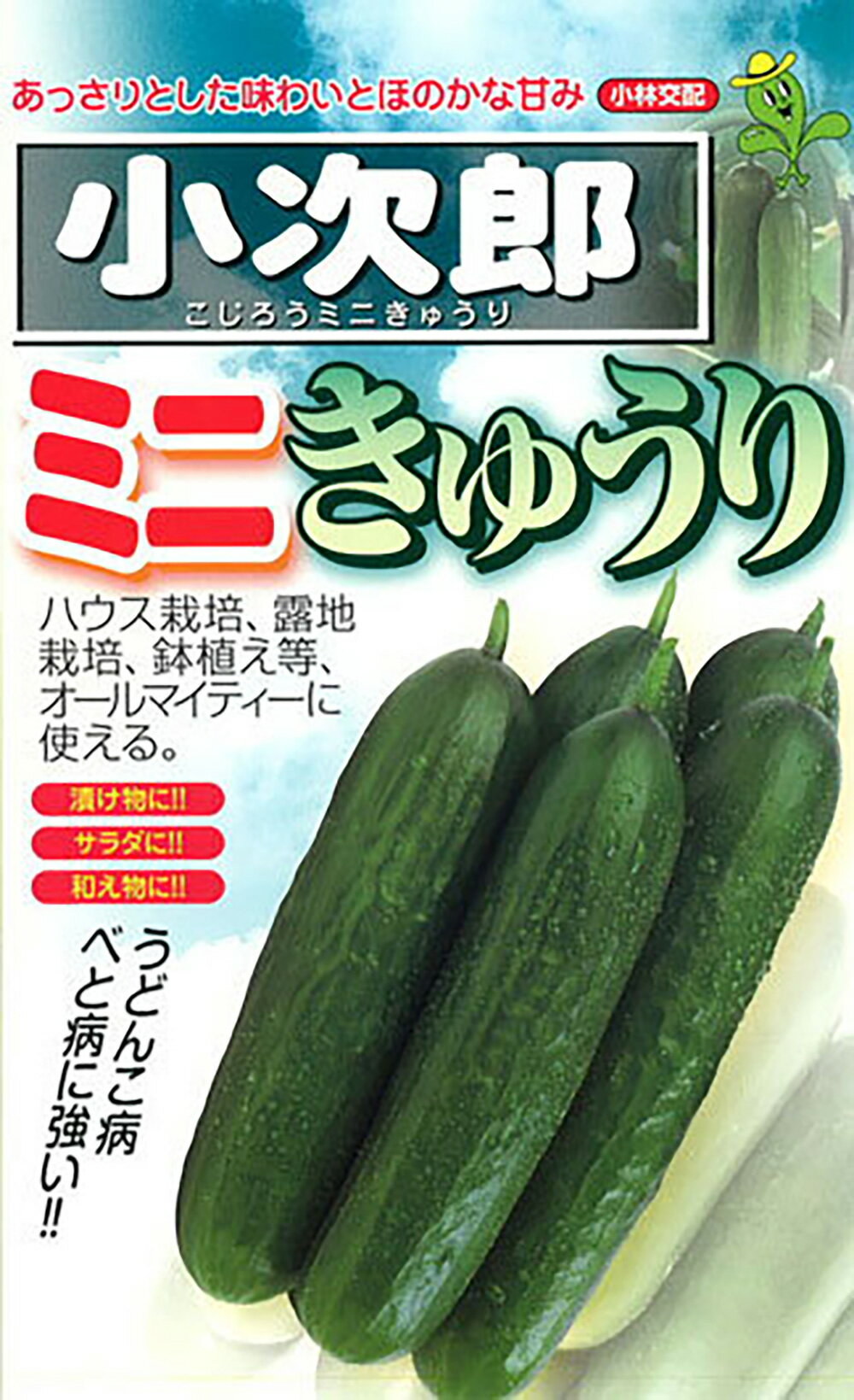 樂天商城 - 小次郎 100粒 胡瓜 キュウリ きゅうり小次郎 100粒【通常5倍 5のつく日はポイント10倍対象外商品ポイント3倍固定商品】