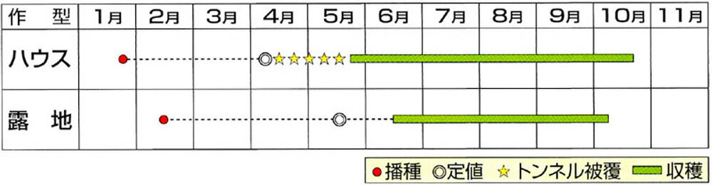 ����餵�� 100γ �ʥ� �ʤ� �ػҡھ��Ӽ��� �� ���� ���ۡ͡��̾�5�� 5�ΤĤ����ϥݥ����10���оݳ����ʥݥ����3�ܸ��꾦�ʡ�