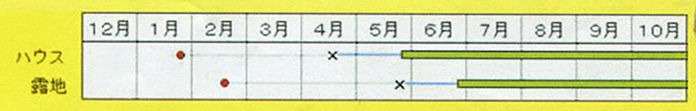 ぼうや茄子 100粒 ナス なす 茄子【小林種苗 種 たね タネ】【通常5倍 5のつく日は...