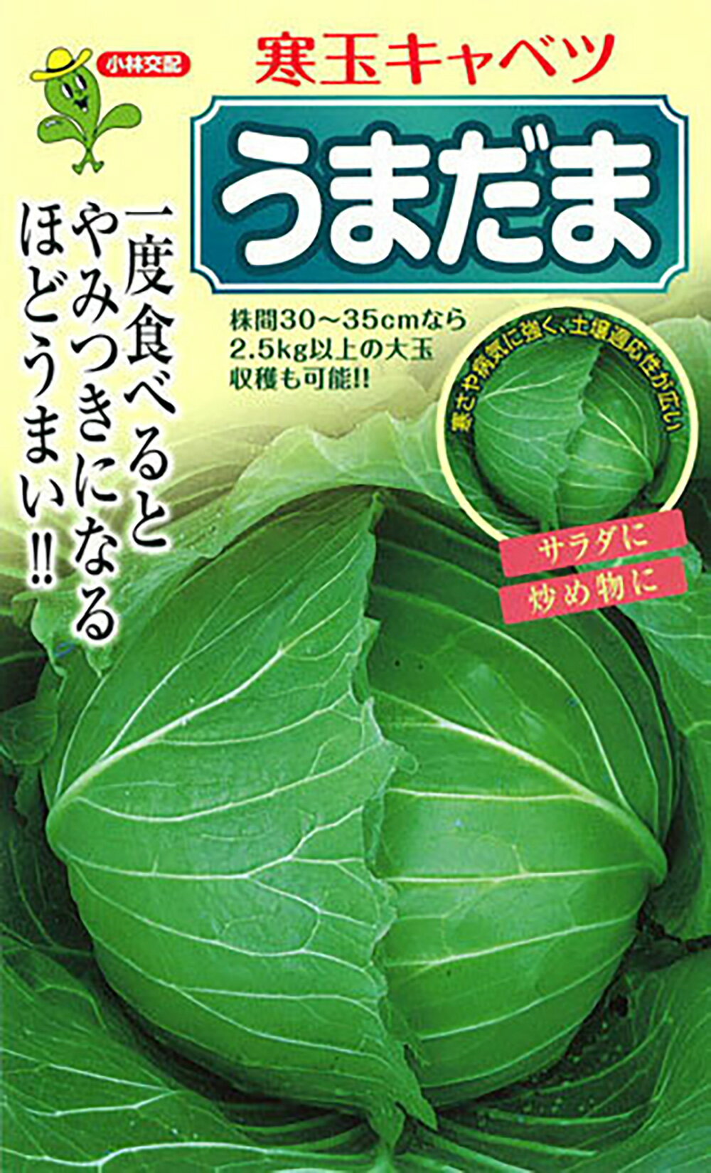 ���ޤ��� ������L5000γ ����٥ġھ��Ӽ��� �� ���� ���ۡ͡��̾�5�� 5�ΤĤ����ϥݥ����10���оݳ����ʥݥ����3�ܸ��꾦�ʡ�