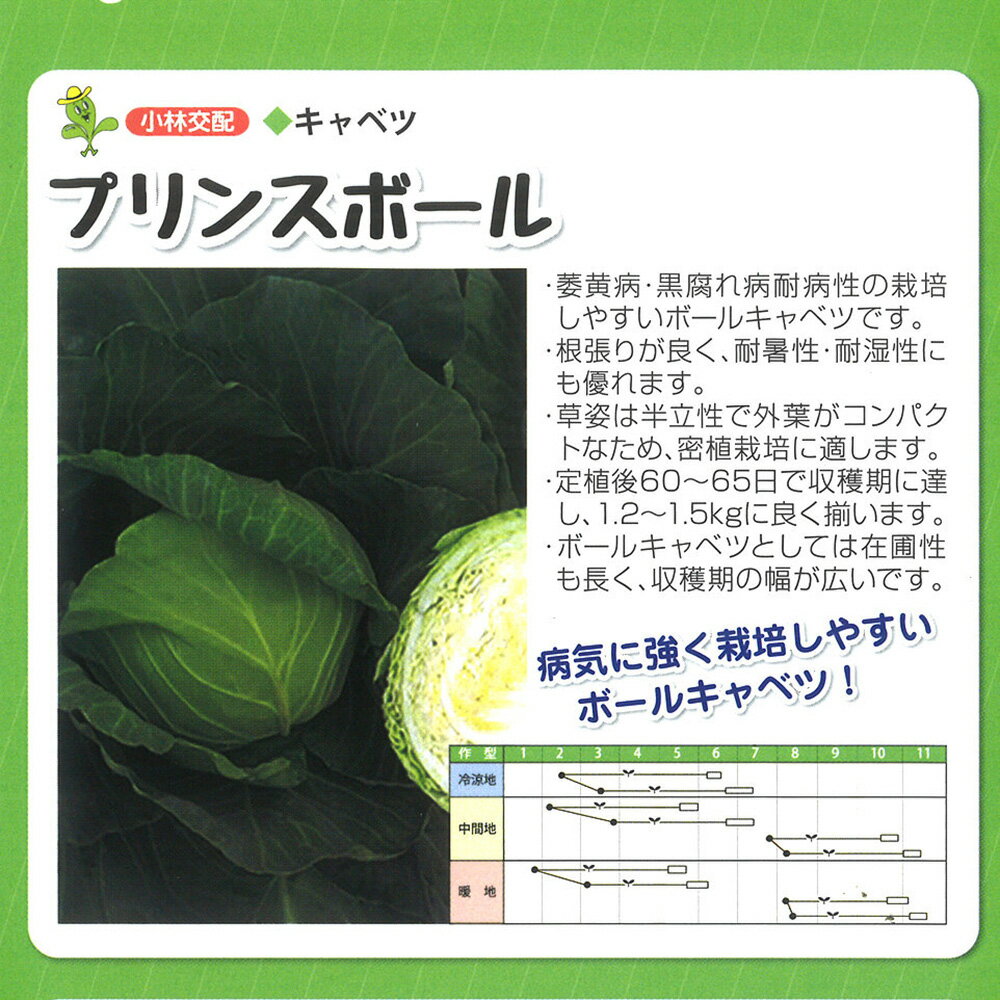 プリンスボール 20ml キャベツ【小林種苗 種 たね タネ】【通常5倍 5のつく日はポイント10倍対象外商品ポイント3倍固定商品】