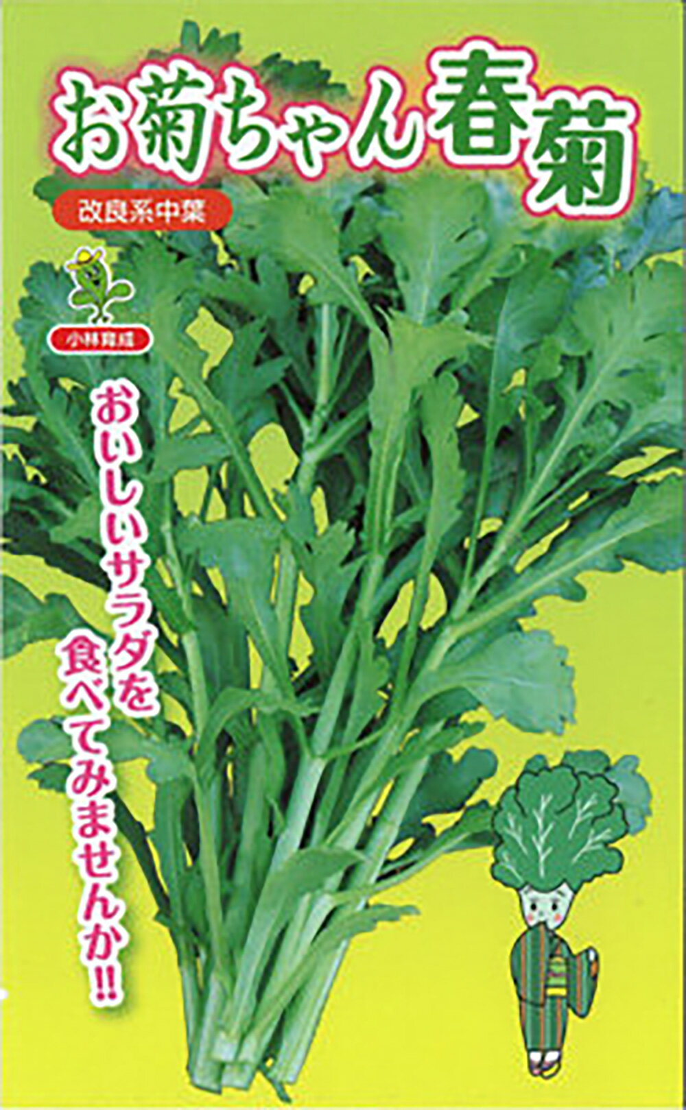 樂天商城 - お菊ちゃん 1L 春菊 しゅんぎく シュンギク【小林種苗 種 たね タネ】【通常5倍 5のつく日はポイント10倍対象外商品ポイント3倍固定商品】