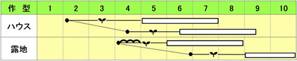 ����ԥ����� 5ml �Х���ھ��Ӽ��� �� ���� ���ۡ͡��̾�5�� 5�ΤĤ����ϥݥ����10���оݳ����ʥݥ����3�ܸ��꾦�ʡ�