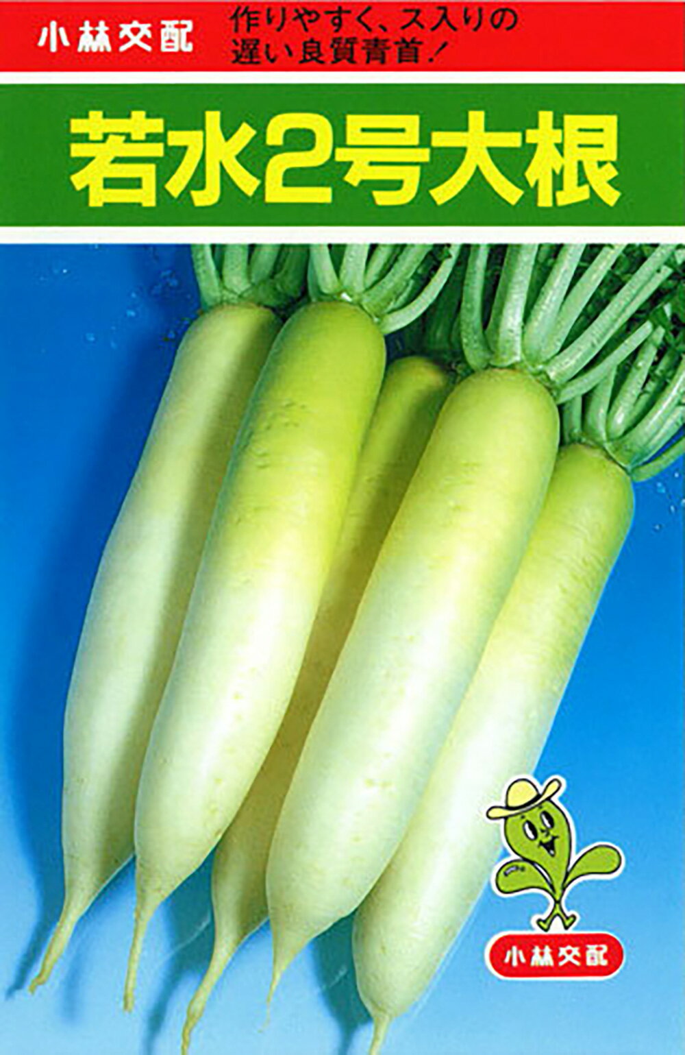 若水2号 2dl 大根 ダイコン だいこん【小林種苗 種 たね タネ】【通常5倍 5のつく日はポイント10倍対象外商品ポイント3倍固定商品】