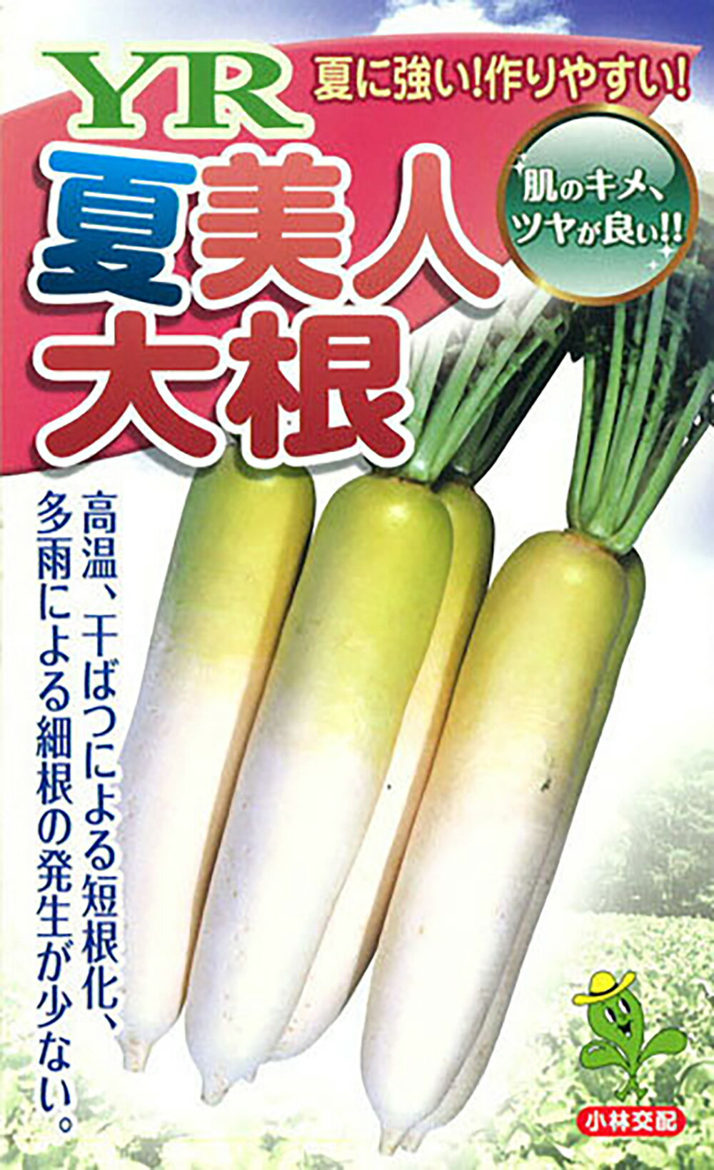 YR夏美人 20ml 大根 ダイコン だいこん【小林種苗 種 たね タネ】【通常5倍 5のつく日はポイント10倍対..