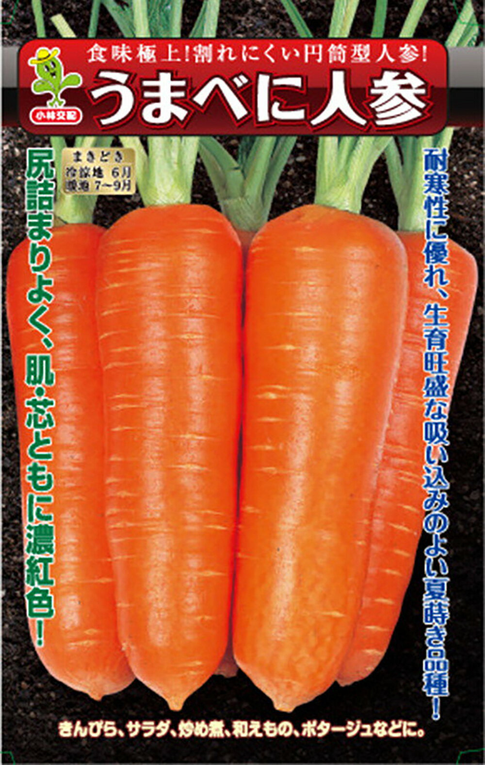 樂天商城 - うまべに 2dl ニンジン にんじん 人参【小林種苗 種 たね タネ】【通常5倍 5のつく日はポイント10倍対象外商品ポイント3倍固定商品】