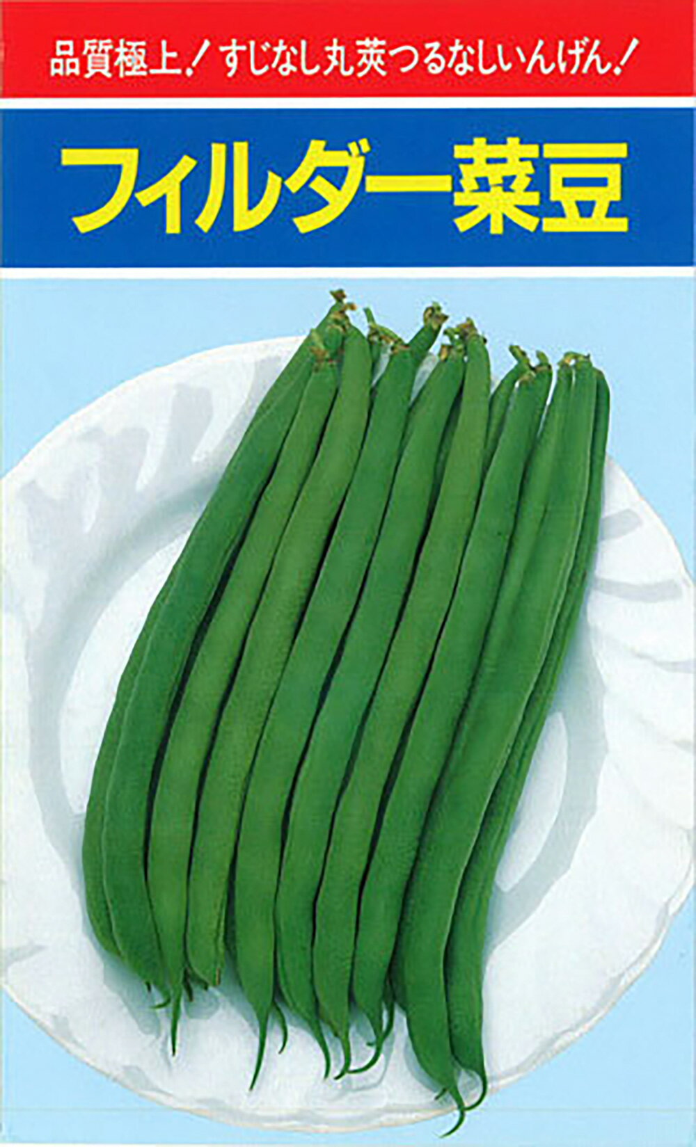 フィルダー(つるなし) 1L 隠元豆 インゲンマメ いんげんまめ【小林種苗 種 たね タネ】【通常5倍 5のつく日はポイント10倍対象外商品ポイント3倍固定商品】