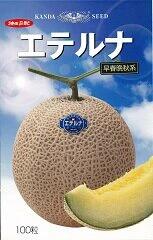 エテルナ(春秋系) 100粒 めろん メロン 舐瓜【神田育種農場 種 たね タネ 】【通常5倍 5のつく日はポイント10倍】