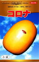 コロナまくわ 20ml ウリ うり 瓜【神田育種農場 種 たね タネ 】【通常5倍 5のつく日はポイント10倍】