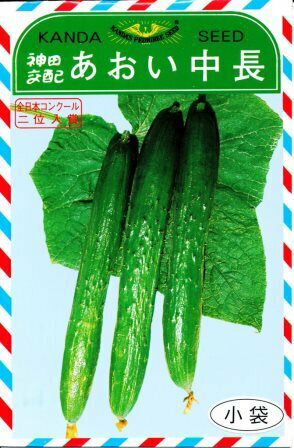 樂天商城 - あおい中長 20ml 胡瓜 キュウリ きゅうり 【神田育種農場 種 たね タネ 】【通常5倍 5のつく日はポイント10倍】
