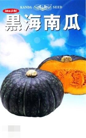 黒海南瓜(大玉かぼちゃ) 500粒 南瓜 カボチャ かぼちゃ【神田育種農場 種 たね タネ 】【通常5倍 5のつ..