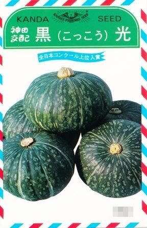 樂天商城 - 黒光南瓜 2dl袋(350粒) 南瓜 カボチャ かぼちゃ【神田育種農場 種 たね タネ 】【通常5倍 5のつく日はポイント10倍】