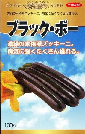 ブラック・ボー 100粒 ズッキーニ ずっきーに【神田育種農場 種 たね タネ 】【通常5倍 5のつく日はポイント10倍】