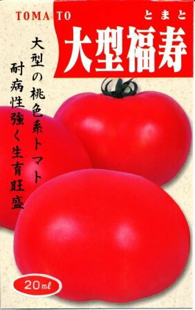 大型福寿 20ml トマト とまと 蕃茄【神田育種農場 種 たね タネ 】【通常5倍 5のつく日はポイント10倍】