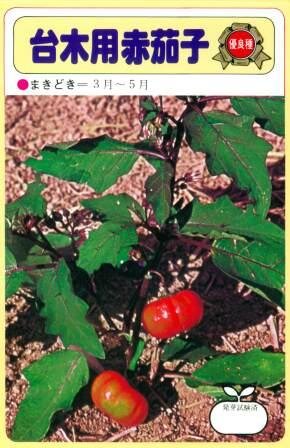 赤なす 楽天市場】熊本県産 赤茄子 ひごむらさき 1本【赤なす 赤ナス