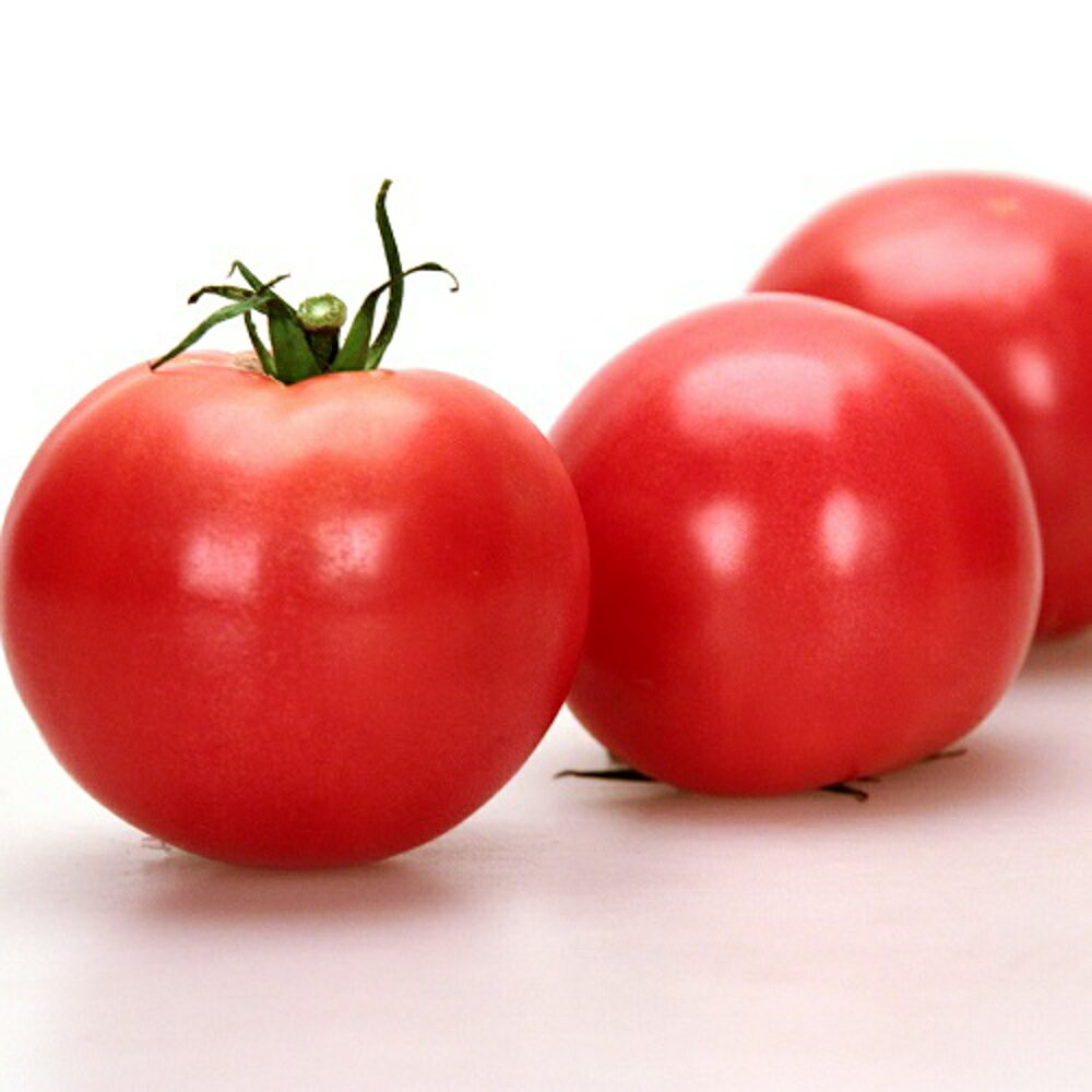 耐病竜福 1000粒 トマト とまと 蕃茄【カネコ種苗 種 たね タネ 】【通常5倍 5のつく日はポイント10倍】