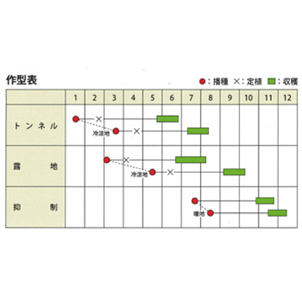 �ۤ��ۤ� 1000γ � ���ܥ��� ���ܤ���ڥ��ͥ����� �� ���� ���� �ۡ��̾�5�� 5�ΤĤ����ϥݥ����10�ܡ�