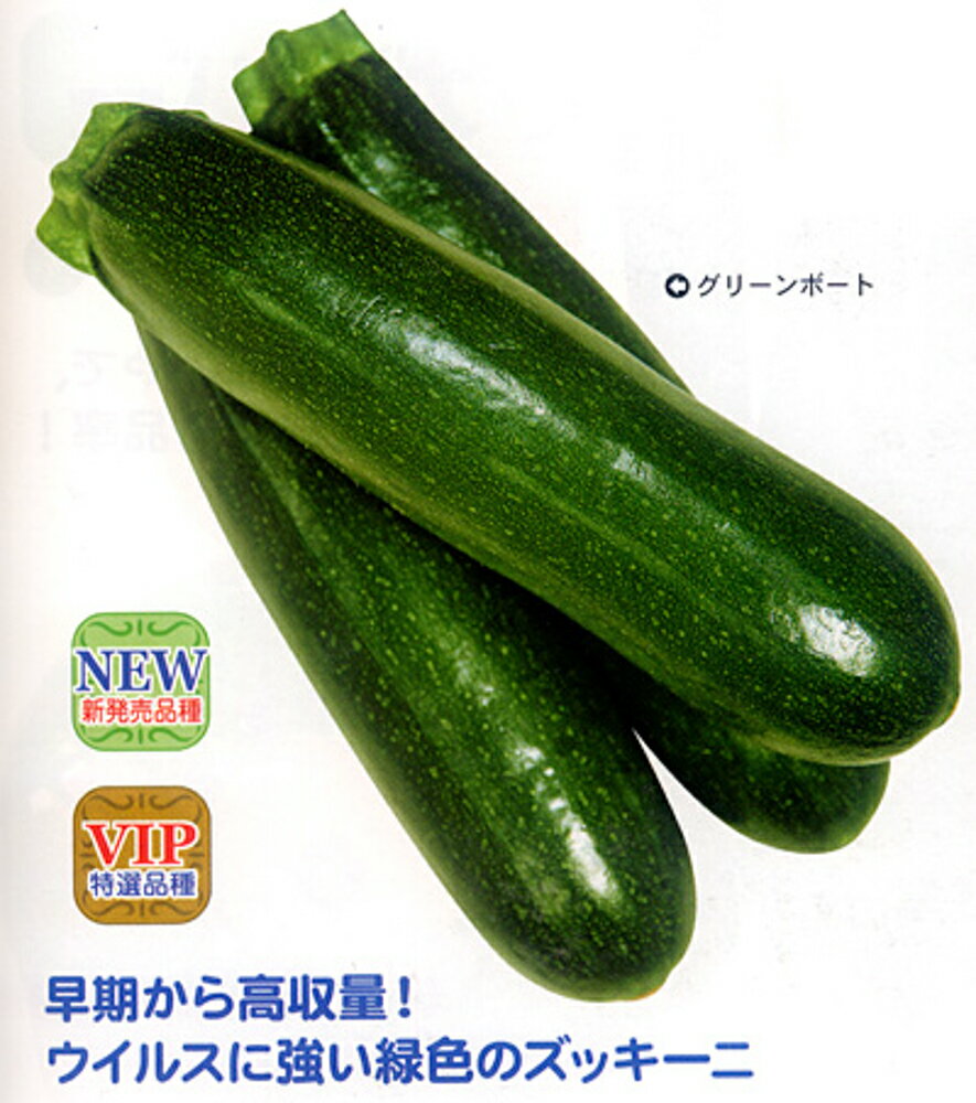 グリーンボート1号 100粒 ズッキーニ ずっきーに【カネコ種苗 種 たね タネ 】【通常5倍 5のつく日はポイント10倍】